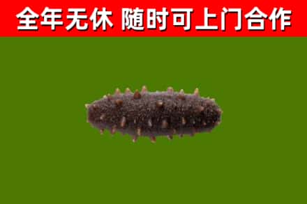 东阿县烟酒回收干海参.jpg